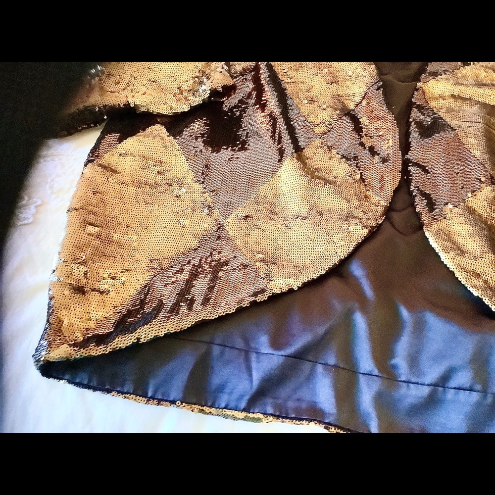 Sequin Jacket - image 5